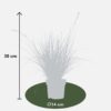 Carex brunnea Variegata | 3 stuks