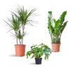 Schaduw Plantenbox - medium - zonder sierpot