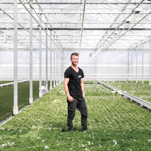 thumbnail_6000-328.jpg Campanula Addenda - Klokjesbloem paars | 12 stuks