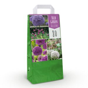 thumbnail_6000-337.jpg Bulb Garden Allium - Bollentuinsierui - Diversen - Zomerbloeier - Bolmaat 10/12 | 80 stuks