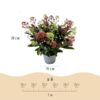 Skimmia japonica Festival - Bloem Wit & Rood - 15+ Bloemen - Winterhard