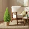 Cupressus Gold Crest Wilma - Kamer conifeer - Weinig onderhoud - Groen