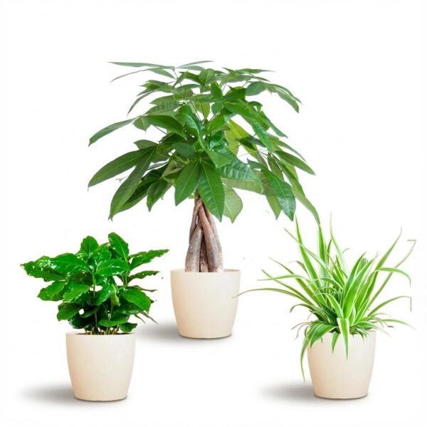 thumbnail_6000-9.jpg Diervriendelijke Plantenbox - klein - met sierpot Viber Wit