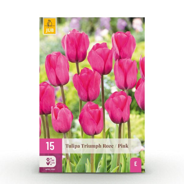 Bloembollen - Tulp Triumph Pink - Roze - 15 stuks - Bolmaat 11/12