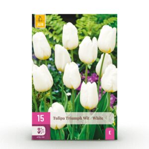 15x Tulipa Triumph White - Triomftulp - Wit - Voorjaarsbloeier - Bolmaat 11/12