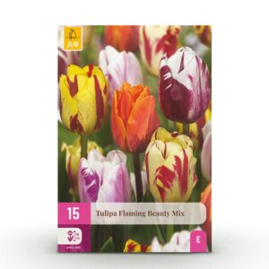 15x Tulipa Flaming Beauty Mix - Tulp Flaming Beauty Mix - Diversen - Voorjaarsbloeier - Bolmaat 11/12