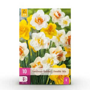 10x Narcissus Double mix - Gevulde narcis mix - Geel en Wit - Voorjaarsbloeier - Bolmaat 12/14