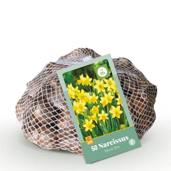thumbnail_6000-2443.jpg Narcissus Tete- A -Tete - Dwergnarscis Tête-à-Tête - Geel - Voorjaarsbloeier - Bolmaat 10/12 | 50 stuks
