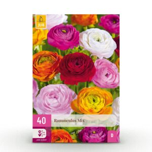 Ranunculus Mix - Ranonkel Mix - Diversen - Zomerbloeier - Bolmaat 5/6 | 40 stuks