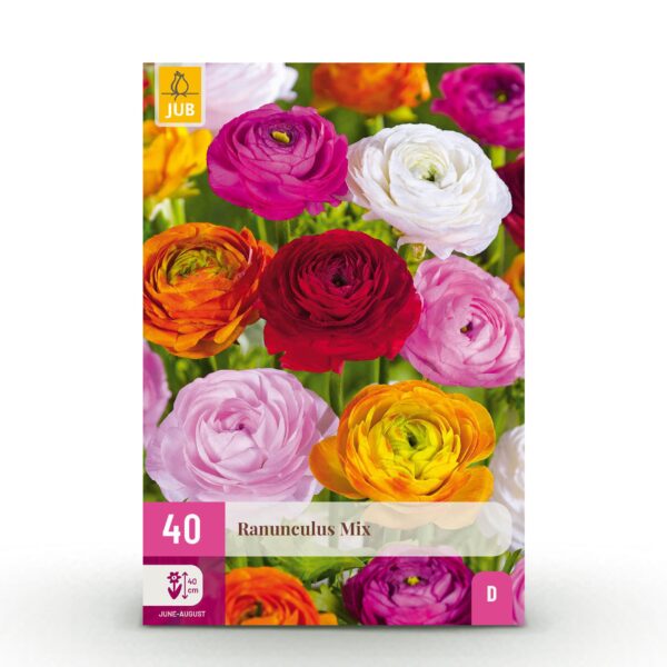 thumbnail_6000-2495.jpg Ranunculus Mix - Ranonkel Mix - Diversen - Zomerbloeier - Bolmaat 5/6 | 40 stuks