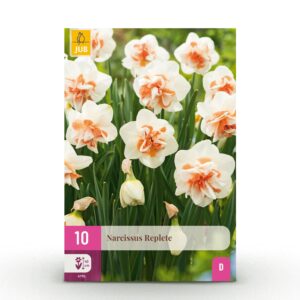 10x Narcissus Replete - Dubbele narcis Replete - Wit en Oranje - Voorjaarsbloeier - Bolmaat 10/12
