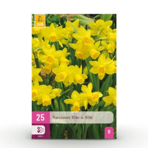 Narcissus Tete-A-Tete - Miniatuurnarcis - Geel - Voorjaarsbloeier - Bolmaat 10/11 | 25 stuks