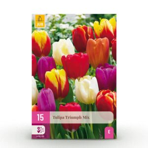 15x Tulipa Triumph Mix - Triomftulp mix - Diversen - Voorjaarsbloeier - Bolmaat 11/12