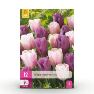 Tulipa Macron mix - Tulp Macron mix - Diversen - Voorjaarsbloeier - Bolmaat 11/12 | 12 stuks