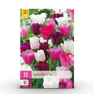 Tulipa Pastel mix - Pastel tulp mix - Diversen - Voorjaarsbloeier - Bolmaat 11/12 | 12 stuks