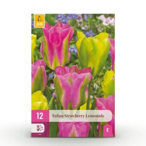 thumbnail_6000-2646.jpg Tulipa Strawberry Lemonade - Tulp Aardbeienlimonade - Diversen - Voorjaarsbloeier - Bolmaat 11/12 | 12 stuks