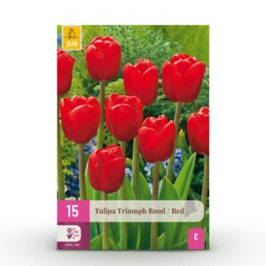 thumbnail_6000-2668.jpg 15x Tulipa Triumph Red - Triomftulp - Rood - Voorjaarsbloeier - Bolmaat 11/12