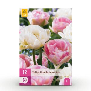 thumbnail_6000-2679.jpg Tulipa Double Sensation - Gevulde tulp - Diversen - Voorjaarsbloeier - Bolmaat 11/12 | 12 stuks