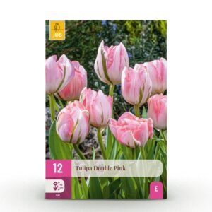 thumbnail_6000-2735.jpg Tulipa Double Pink - Dubbele roze tulp - Roze - Voorjaarsbloeier - Bolmaat 11/12 | 12 stuks