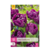 Bloembollen - Tulp Double Lilac - Paars - 50 stuks - Bolmaat 11/12