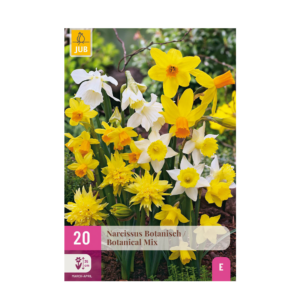Narcissus Botanical Mix - Botanische narcissenmix - Geel en Wit - Verwilderingsbol - Bolmaat 10/12 | 20 stuks