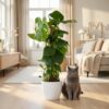Gatenplant - Monstera Deliciosa mosstok - Groen - Weinig onderhoud - met Potter Wit