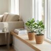 Clusia Princess - Clusia - 4 Planten - met Mand