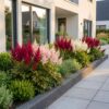 Astilbe Tricolour - Pluimspirea - Schaduw - Paars - Roze - Wit - 6 Planten