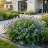 Geranium Johnson's Blue - Ooievaarsbek - Bodembedekkend - Blauw - 6 Planten