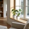 Monstera Deliciosa - Gatenplant - met Potter Wit