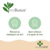 Buxus Pyramide - BetterBuxus Skylight - Resistant tegen de Buxus Schimmel
