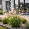 Gaura lindh. Whirling Butterflies - Prachtkaars - Bijen- en vlinderlokkers - Wit - 24 Planten