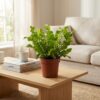 Asplenium Crispy Wave - Asplenium Crispy Wave - 2 Planten